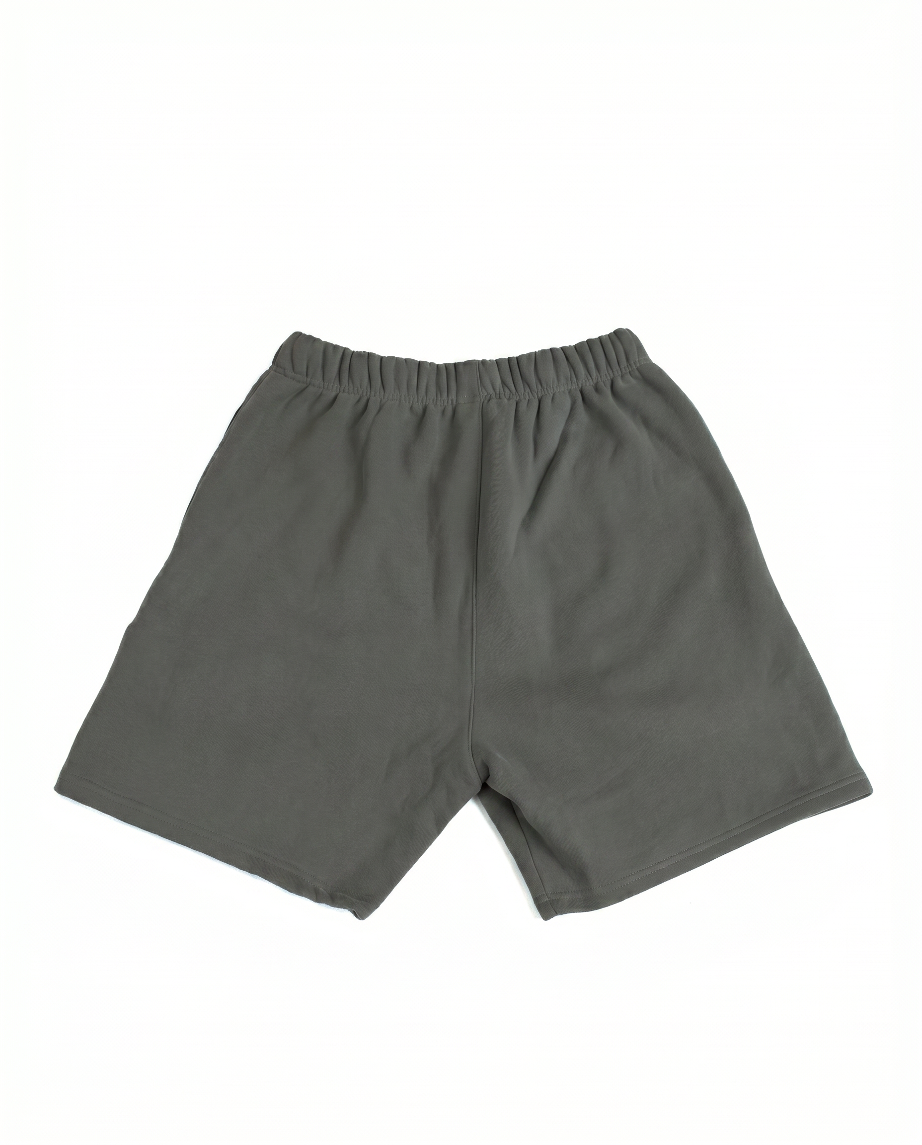 Turtle Shorts